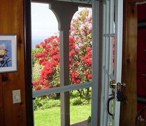 Mature rhododendrons outside the first floor.