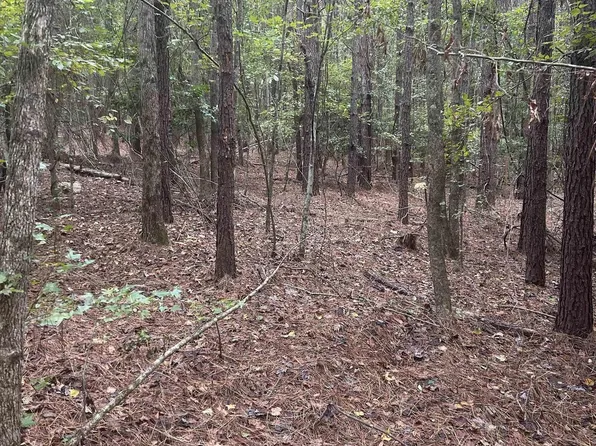 0 Salem Church Rd, Farmerville, LA 71241