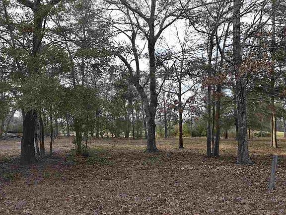 2nd image of 4303 Grey Heron Dr. #The Dye Estates at Barefoot