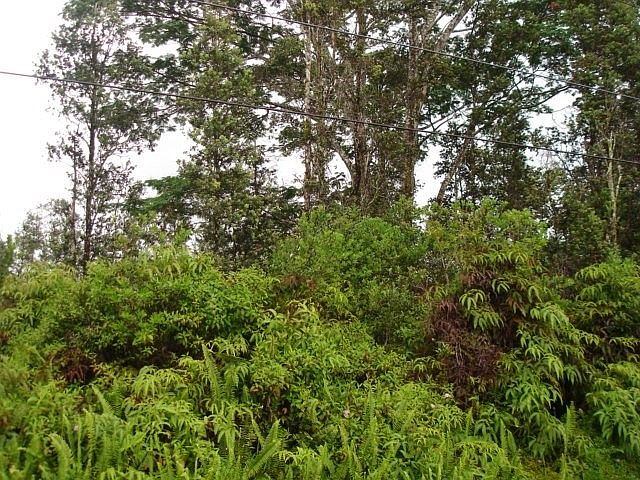 1st image of Punawai St Lot 27