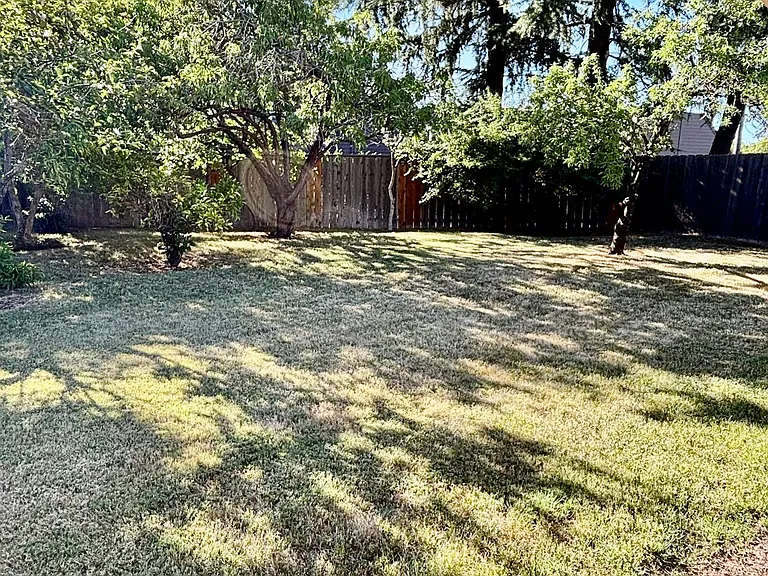 3616 Wood Duck Cir — Photo 11
