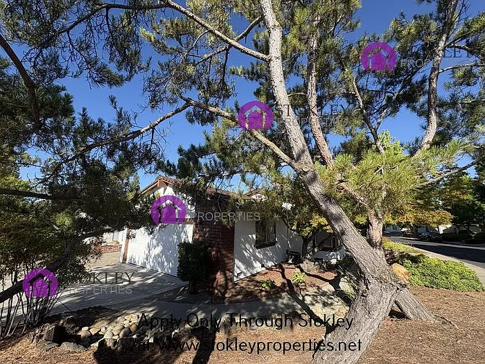 1257 Cougar Ln — Photo 25