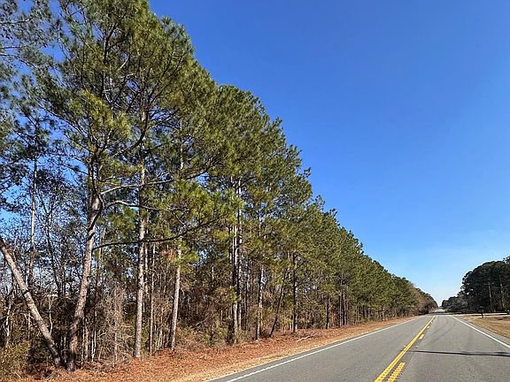 4th image of 0 Tifton Eldorado Rd