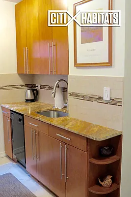 Rented by Citi Habitats | media 3