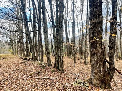 0 Shad Rd, East Jewett, NY, 12424