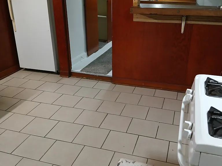 5017 N Springfield Ave #BASEMENT — Photo 7