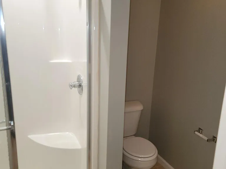 Master Bath 4 foot shower along with whirlpool tub