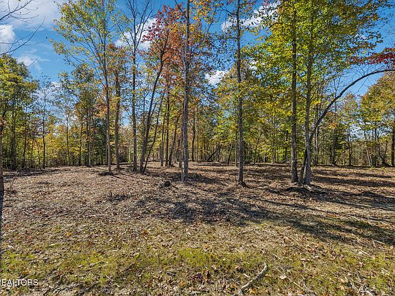 5th image of Sheep Ranch Rd