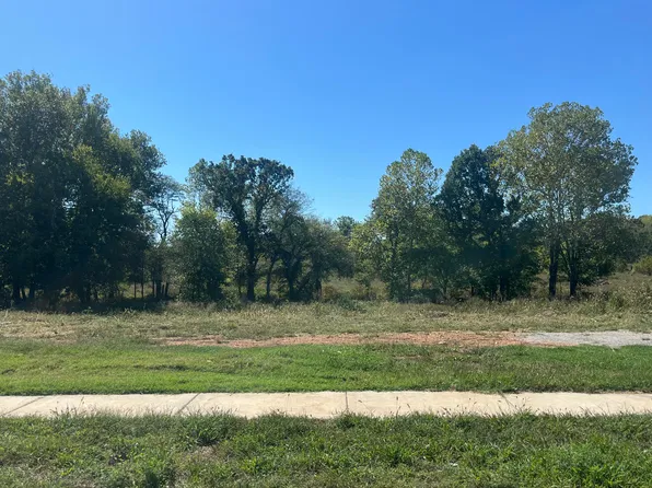 733 S Reaghan Lane, Republic, MO 65738