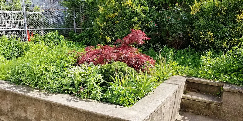 Rented by Virtual Real Estate | media 15