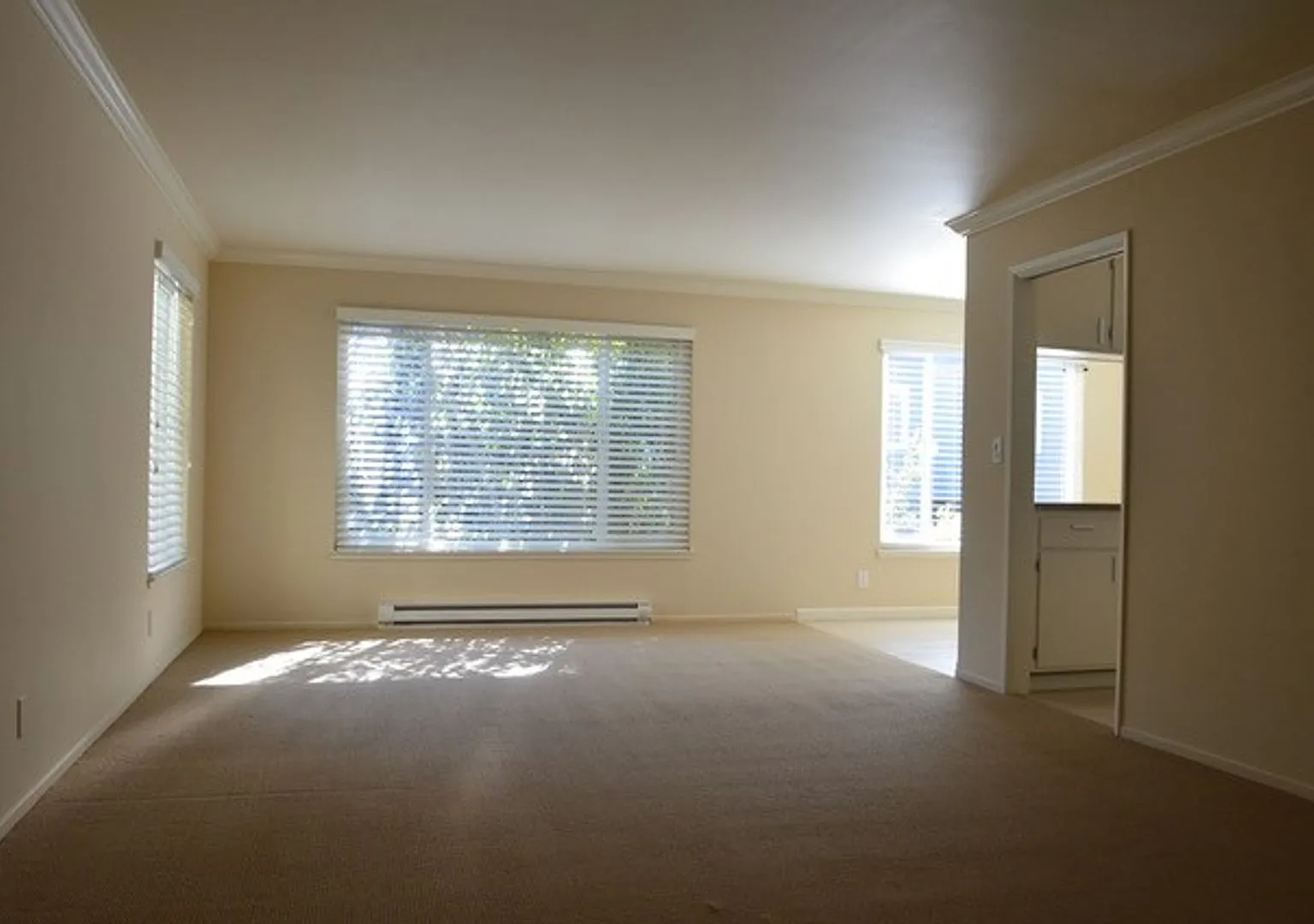 237 Elm St. — Photo 3