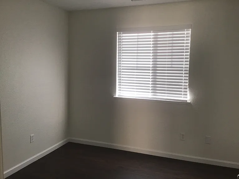 3976 Dominus Dr — Photo 20