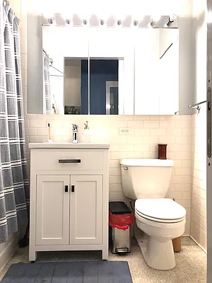 Rented by NY Living Solutions | media 40