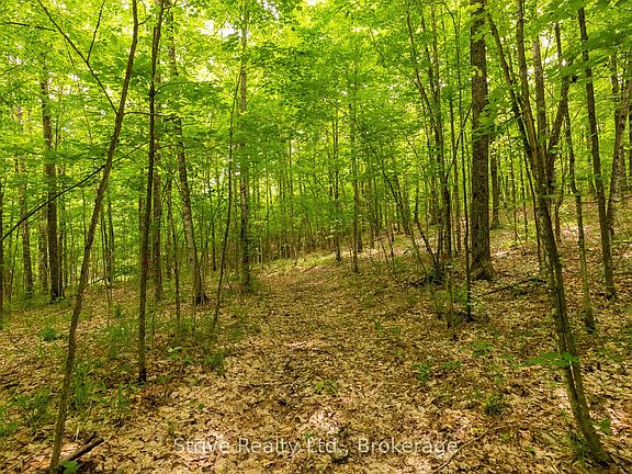 5th image of 0 Kendrick Creek Ln