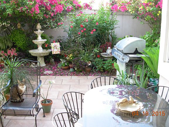 patio from living room