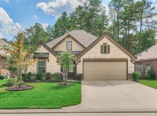 2908 Twin Cove Ct, Conroe, TX 77301