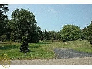 2732 W Hickory Grove Rd photo 1