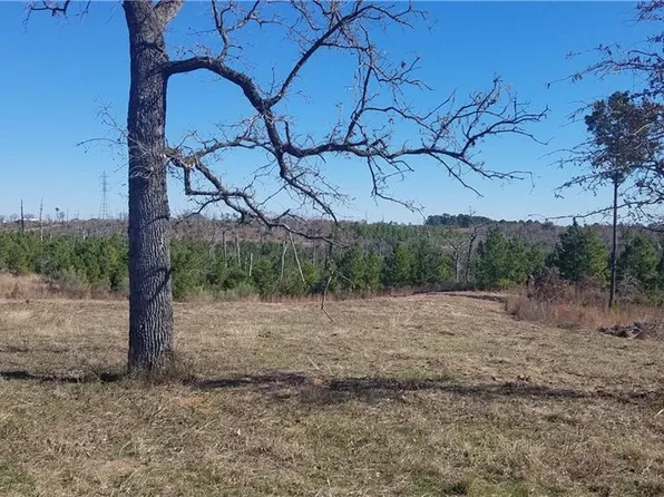 339 Cottle Town Rd, Smithville, TX 78957