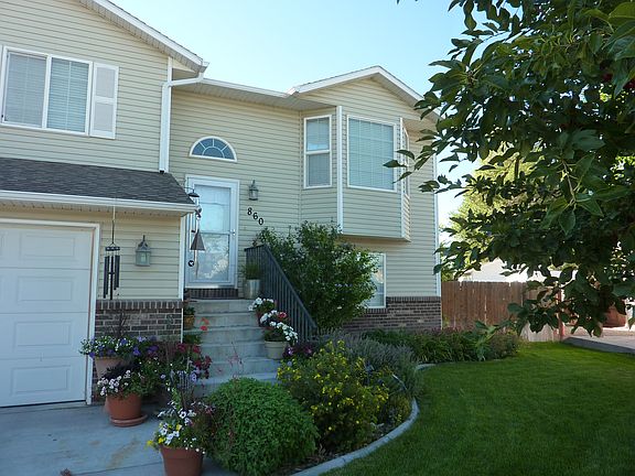 Beautiful trees and flowers