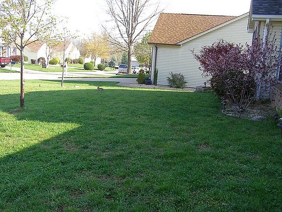Front Yard