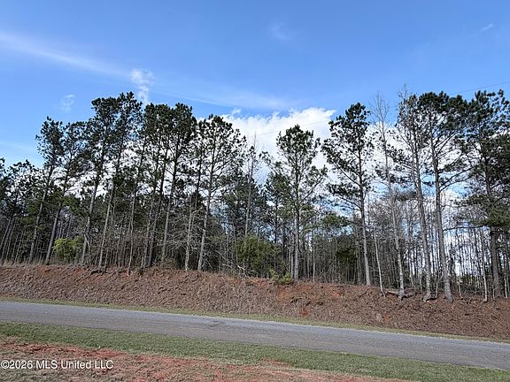 3rd image of 66 Pete Freeman Rd