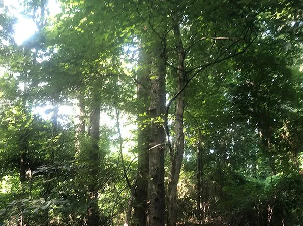 Silver Maple Dr R, Rex, GA 30273