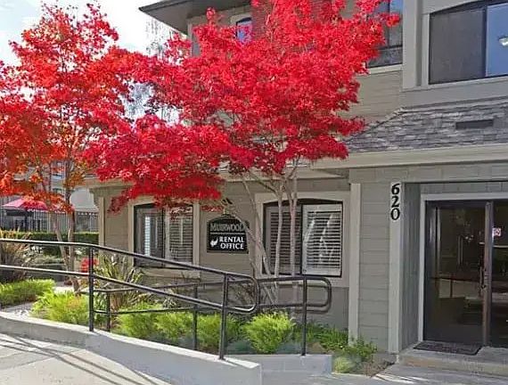 4th image of 620 Center Ave #213B