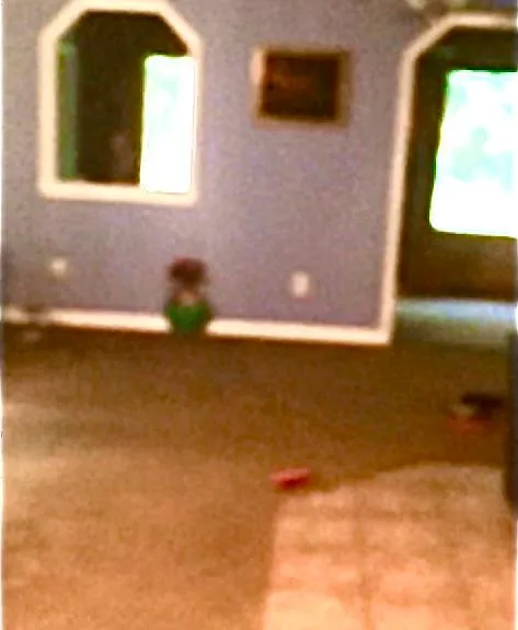 Living room area from front door.