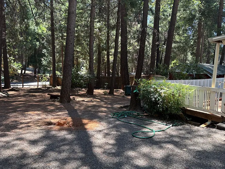 14737 Wildlife Dr — Photo 4