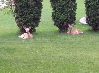 6657 Fountain Ct N, Maple Grove, MN 55311