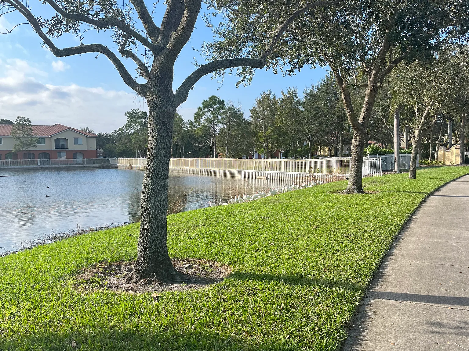 1 bed, 400 sqft, $1,250 — Photo 4