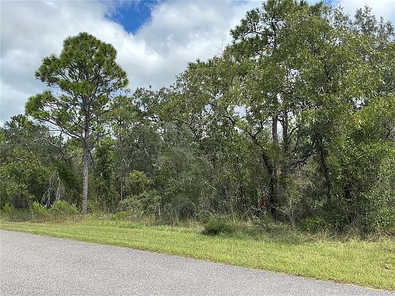 3rd image of 12510 MARBLED GODWIT ROAD LOT 7