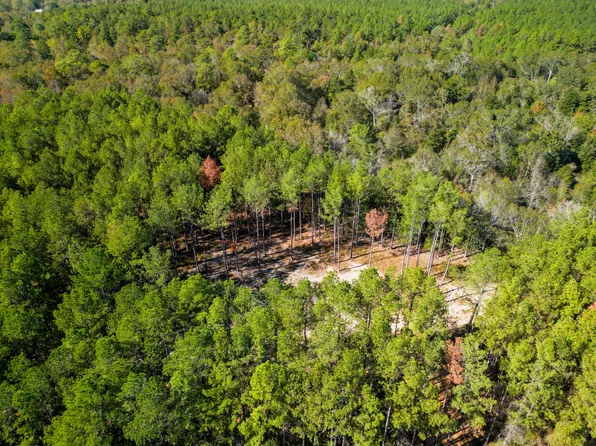 3 Centerville Rd, Soso, MS 39480