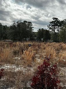 Tba Southwest Pl #93, Dunnellon, FL, 34432