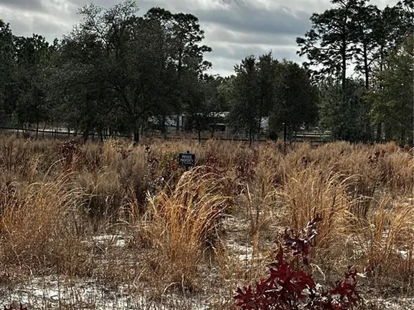 Tba Southwest Pl #93, Dunnellon, FL 34432