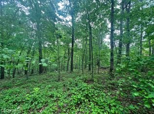 LOT 11 Berry Ridge Ct, Cornelia, GA 30531