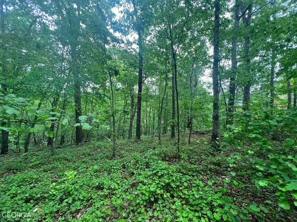 LOT 11 Berry Ridge Ct, Cornelia, GA 30531