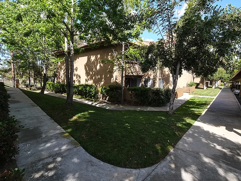 Shadowridge Summerwind — Photo 17