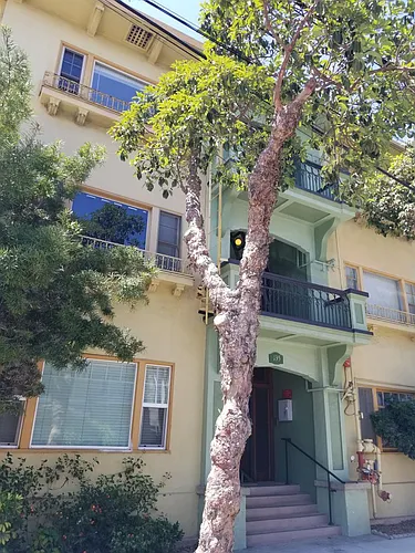 135 Bonito Ave #13 Photo 1