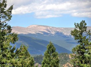 14794 Wetterhorn Peak Trl, Pine, CO 80470