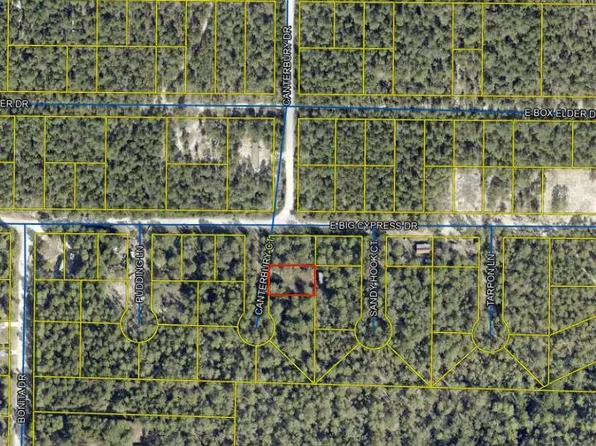 25 Canterbury Ct, Defuniak Springs, FL 32433