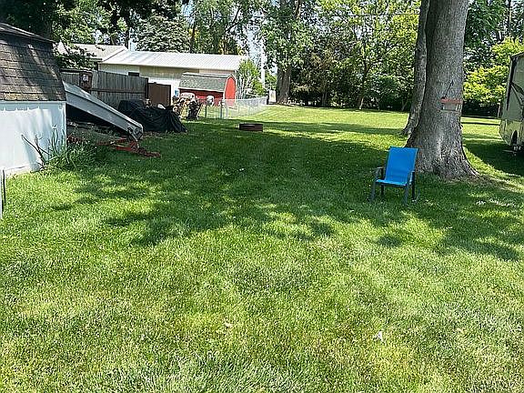 Back yard