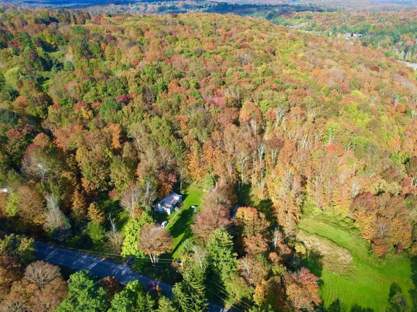 00 Ferndale Loomis Road, Liberty, NY 12754
