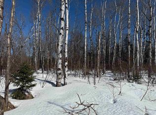 Tbdw118 S River Rd, Chassell, MI 49916