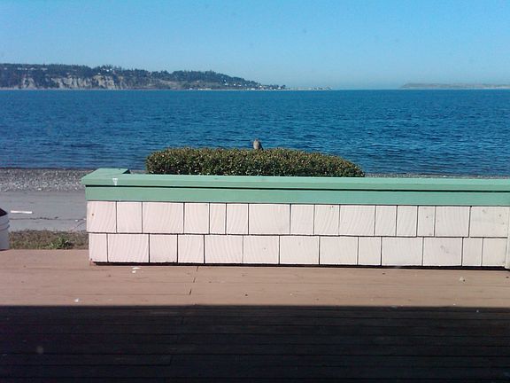 Water view from house