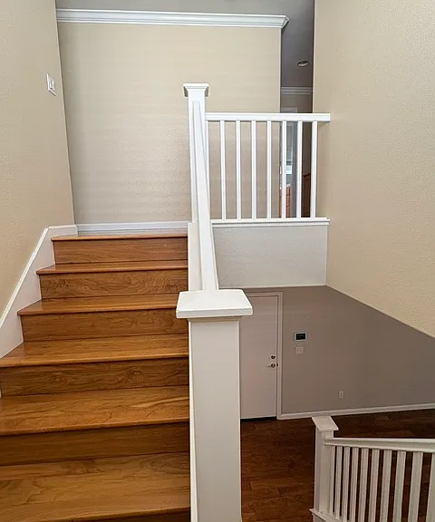 937 Mouton Cir — Photo 18