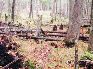 Tbd Us2, Rapid River, MI 49878