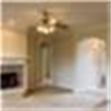2nd image of 204 Red Wolf Ln