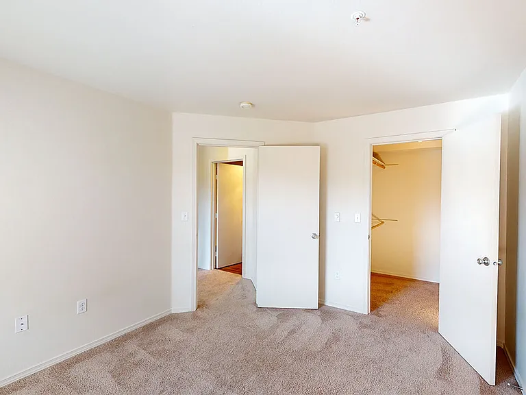 Spacious apartment bedroom with large closet and plush carpet flooring.