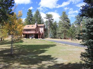 199 Meadow Dr, Bailey, CO 80421